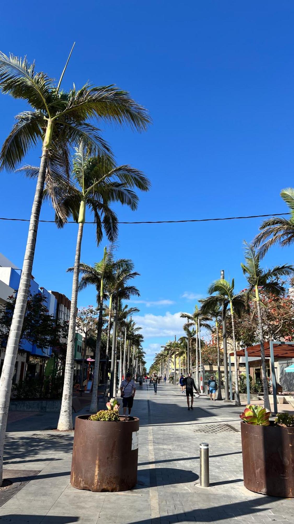 Mirame Canarias Vecindario  Exterior foto